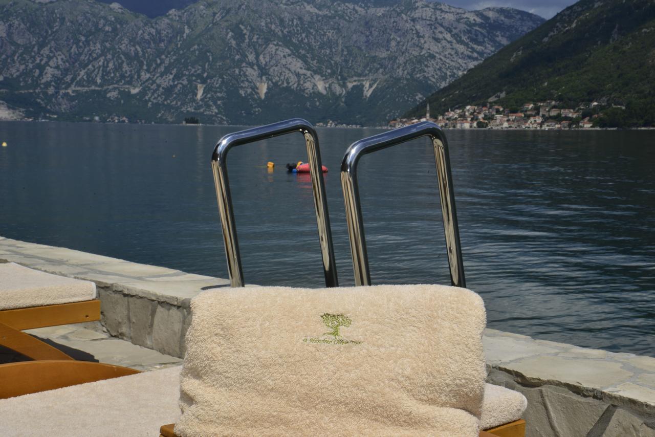 A Hundred Olive Trees Apartments Kotor Exteriér fotografie