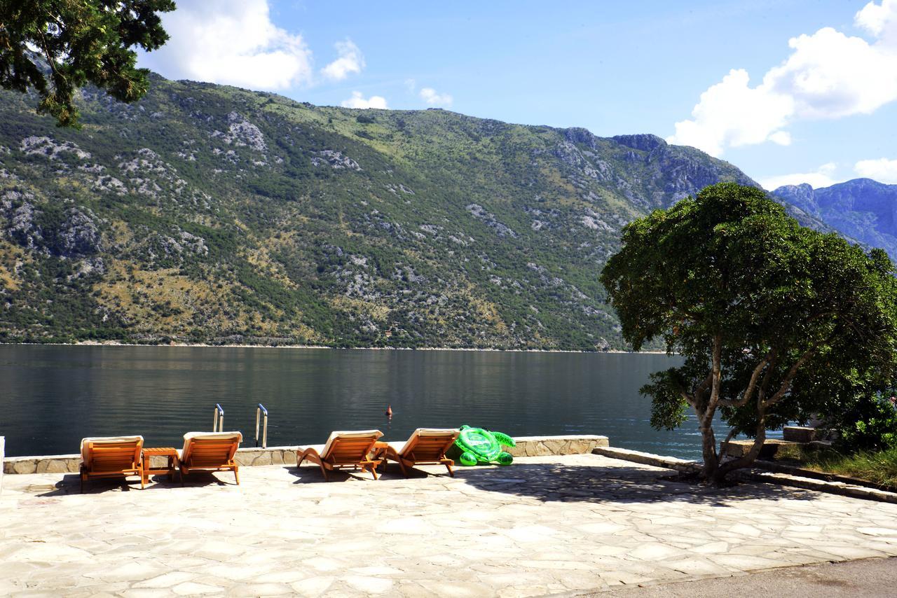 A Hundred Olive Trees Apartments Kotor Exteriér fotografie